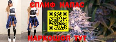 индика Аргун