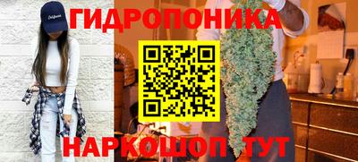 индика Аргун