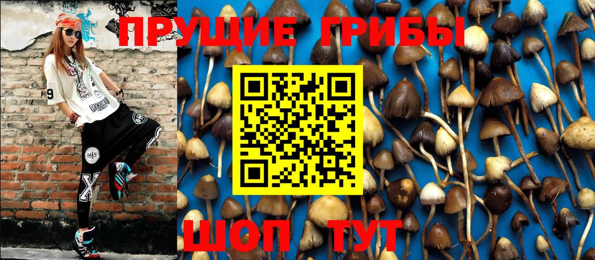 Псилоцибиновые грибы MAGIC MUSHROOMS Белебей