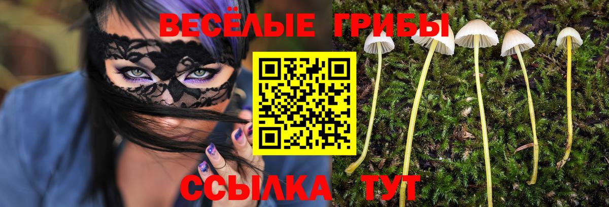 Галлюциногенные грибы мицелий  Вход с VPN  Белебей  Галлюциногенные грибы прущие грибы 